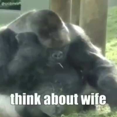 ride wife