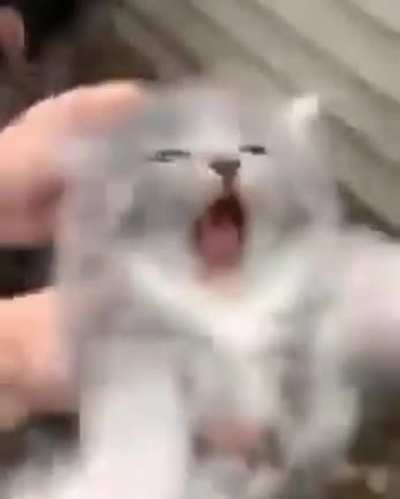 when the: