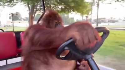 Taxistas en CDMX be like