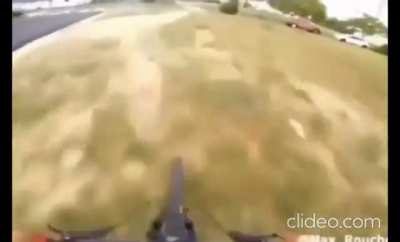 Red bull gives you wiiiings