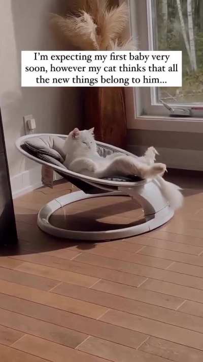 Its mine meow