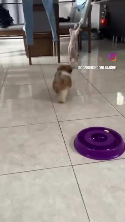 La mantequilla