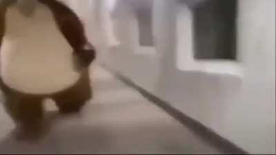 Pov:descubriste la raz&oacute;n porque al oso a&uacute;n soporta a la cagapalos de masha. Y el no quiere que all&aacute; testigos