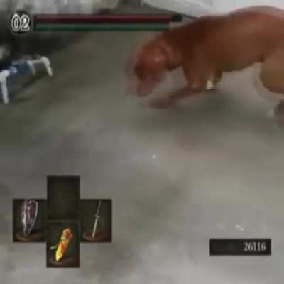 Cachorro com a faca de cortar p&atilde;o