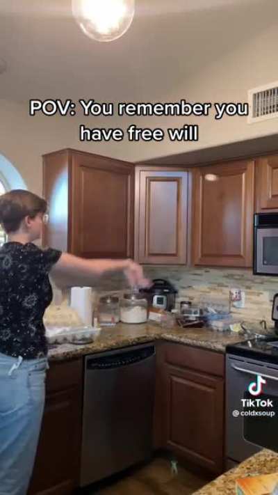 POV: You remember you have free will