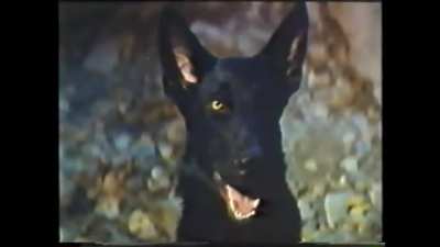 Werewolf