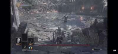 POV: You have the attention span of a nat in dark souls 3