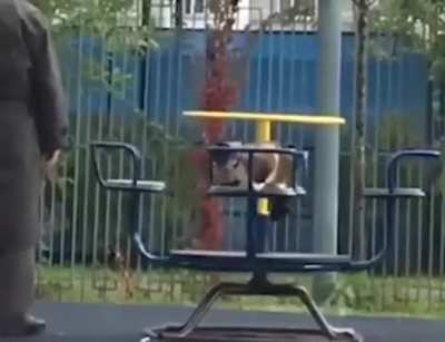 Grandpa takes the cat on a carousel ride