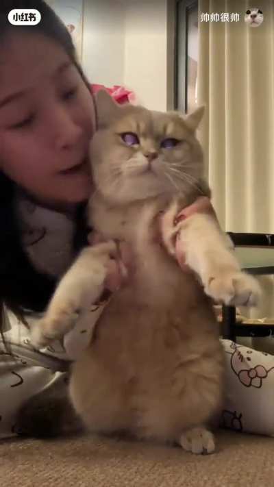 Cuteness aggression