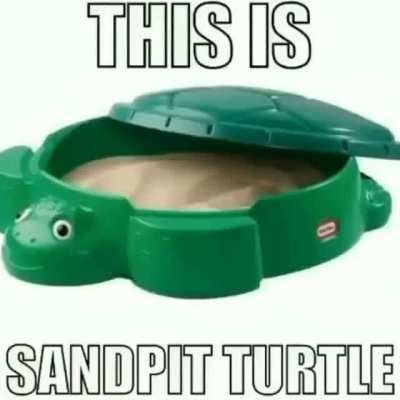 Turle :&amp;gt;
