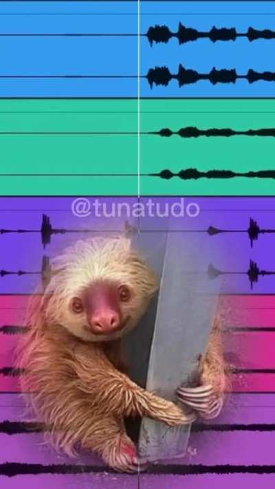 Devia ter...