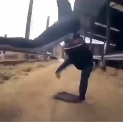 He do be havin the moves tho 😳