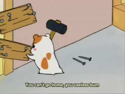 Ah caray este no es Hamtaro 😟