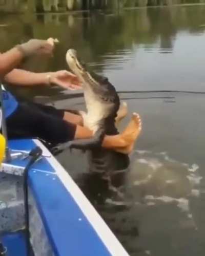 Nah he won&rsquo;t bite