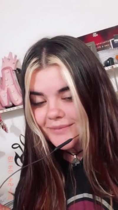 Xd