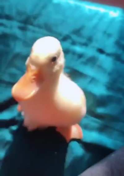 Quack