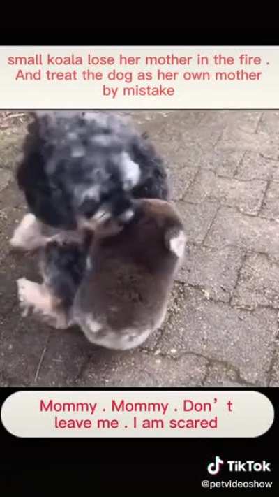 He&rsquo;s not heavy, he&rsquo;s my brother
