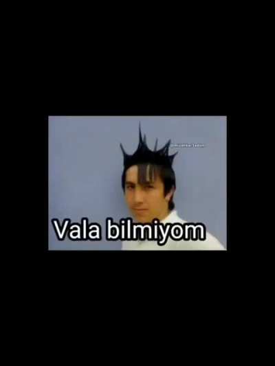 Trin