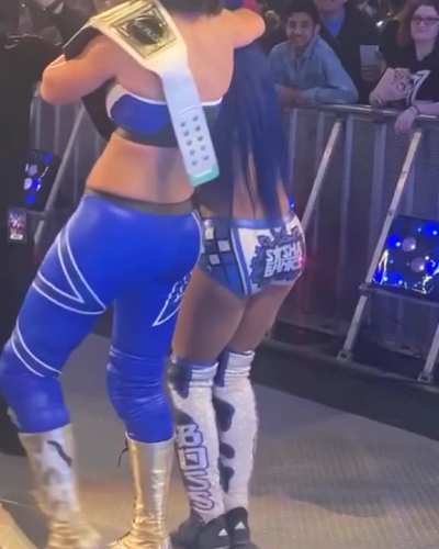 Sasha Banks and bayley