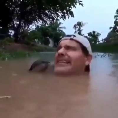 Agitando la nutria