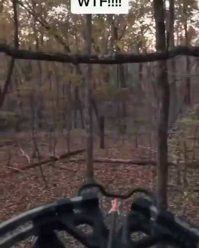 tell me not to shoot wildly at noises in the forest because of "gun safety" or something like that