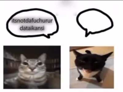 🎷🎷🎷