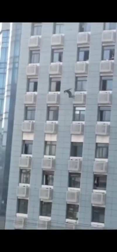 The consequences of the Zero-Covid policy lockdowns in China.