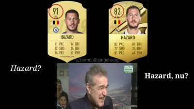 s-a hazardat