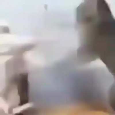 blursed_cats