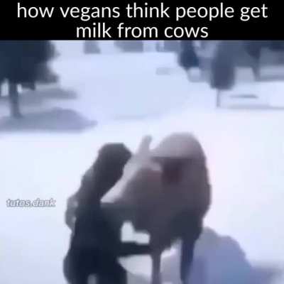 vegan🤮
