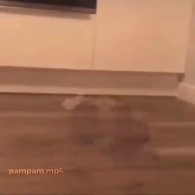 ;-;