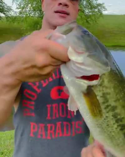 The Rock catching bass