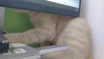 To scratch