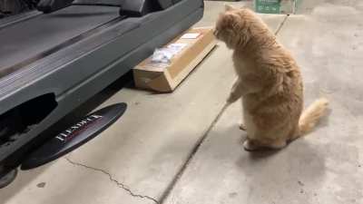 WTF IS THAT?! I shall investigate
