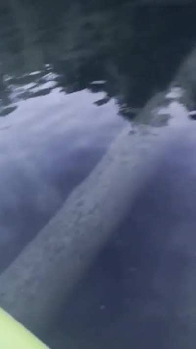Underwater pipe that feeds a fire hydrant on the lake where I live