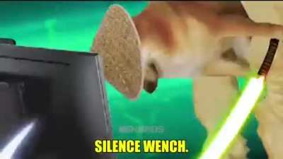 Silence wench (are you winning son edition)