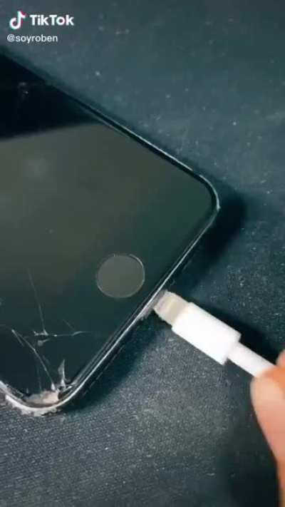 Poor doggo