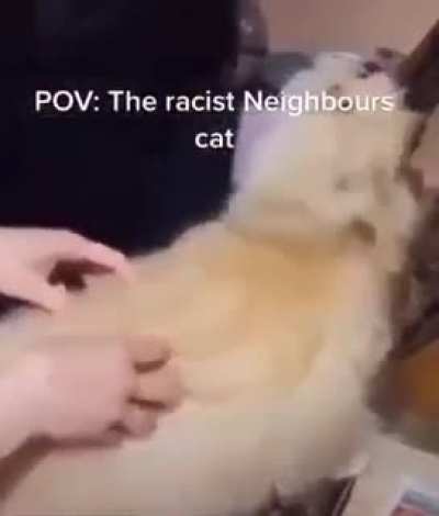 🤨
