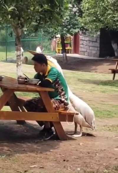 Ohh Jos&eacute;, da um pedacinho a&iacute;, na moral?