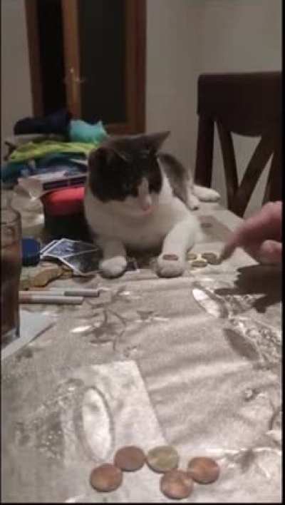 CapuSEEno - Video #3878