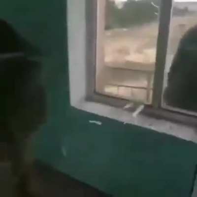 deli misiniz amk