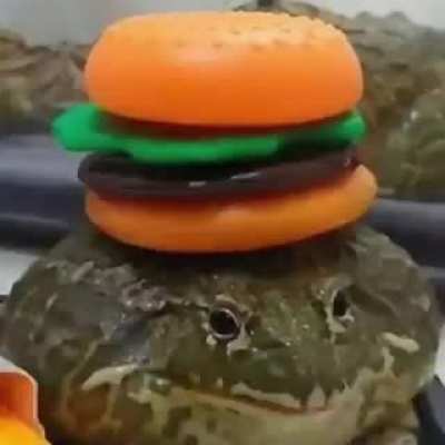 Froge momento
