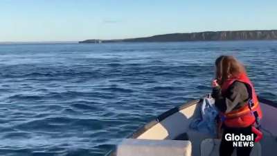 Freaking out in the Middle of the Ocean
