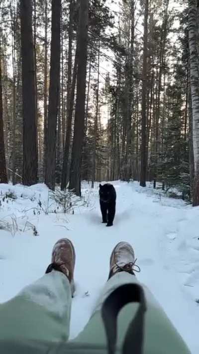 A cat is a cat