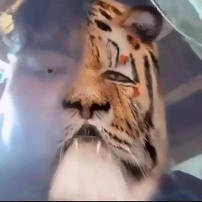 🇲🇽🐒