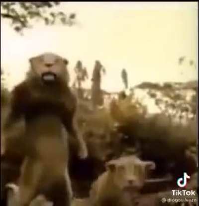skinwalkers