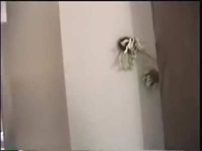 In 2006, a woman named Elaine Campione murdered her two daughters before attempting sucide in Ontario, Canada. This is one of many videos she recorded before she killed the daughters.