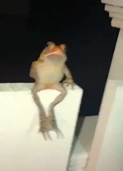 DO A FLIP