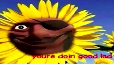 everyone loking at the tf2 steampage at 8.pm