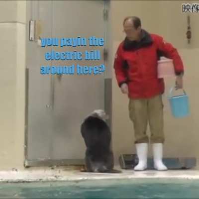 Larry needs to get his shit together